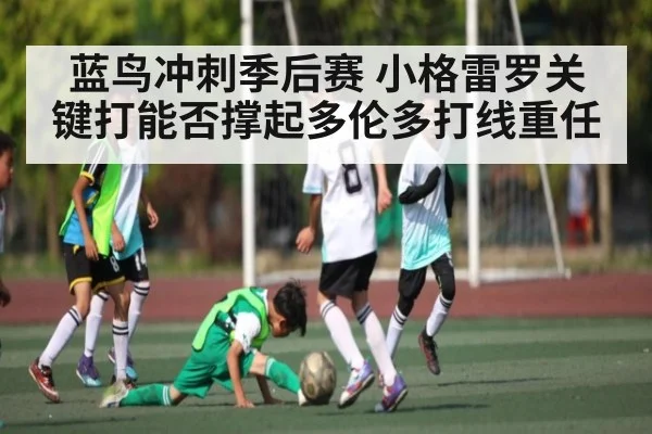 蓝鸟冲刺季后赛 小格雷罗关键打能否撑起多伦多打线重任